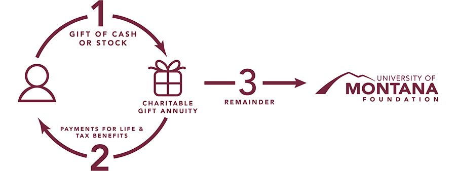 Charitable Gift Annuity illustration