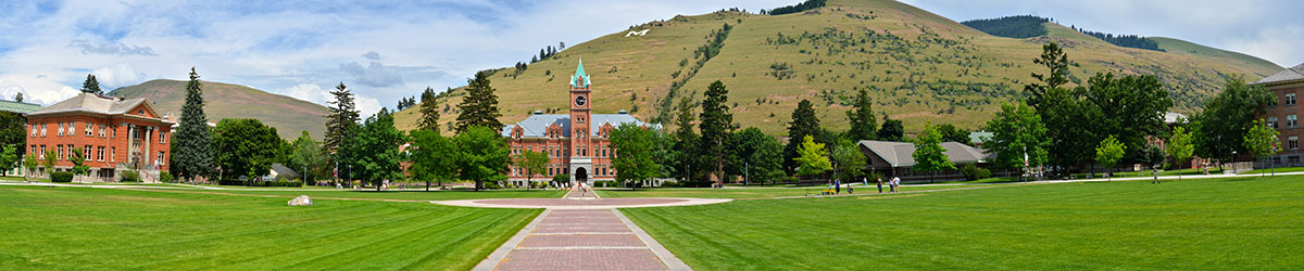 Panoramic of the Oval on campus.