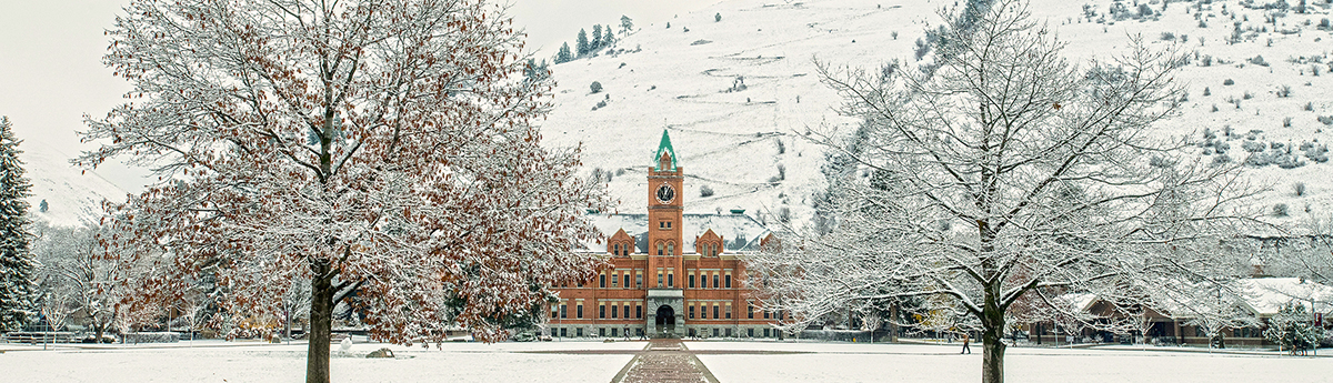 Snow falling on UM Main Hall and the Oval