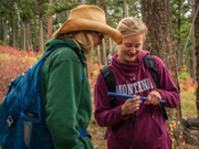 Two UM students conduct fieldwork in a forest.