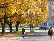 Students walk on the University of Montana campus