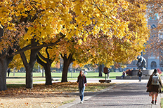 students walk on the Oval on a sunny fall day