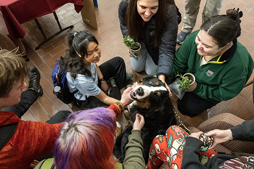 UM students pet a dog at Stress Less Days